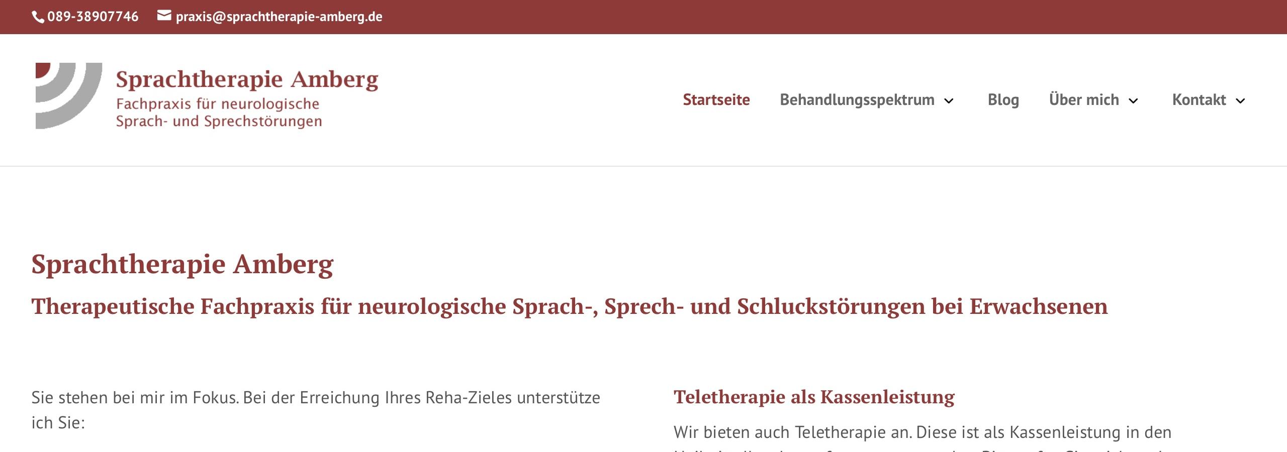 Webseite Sprachtherapie Amberg 