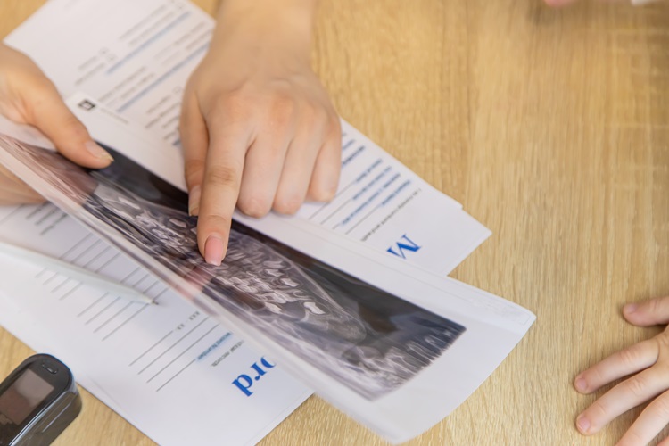 Materialien & Downloads